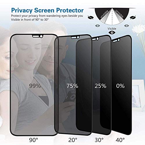 iPhone 16 Series Anti-Spy Privacy Tempered Glass Screen Protector